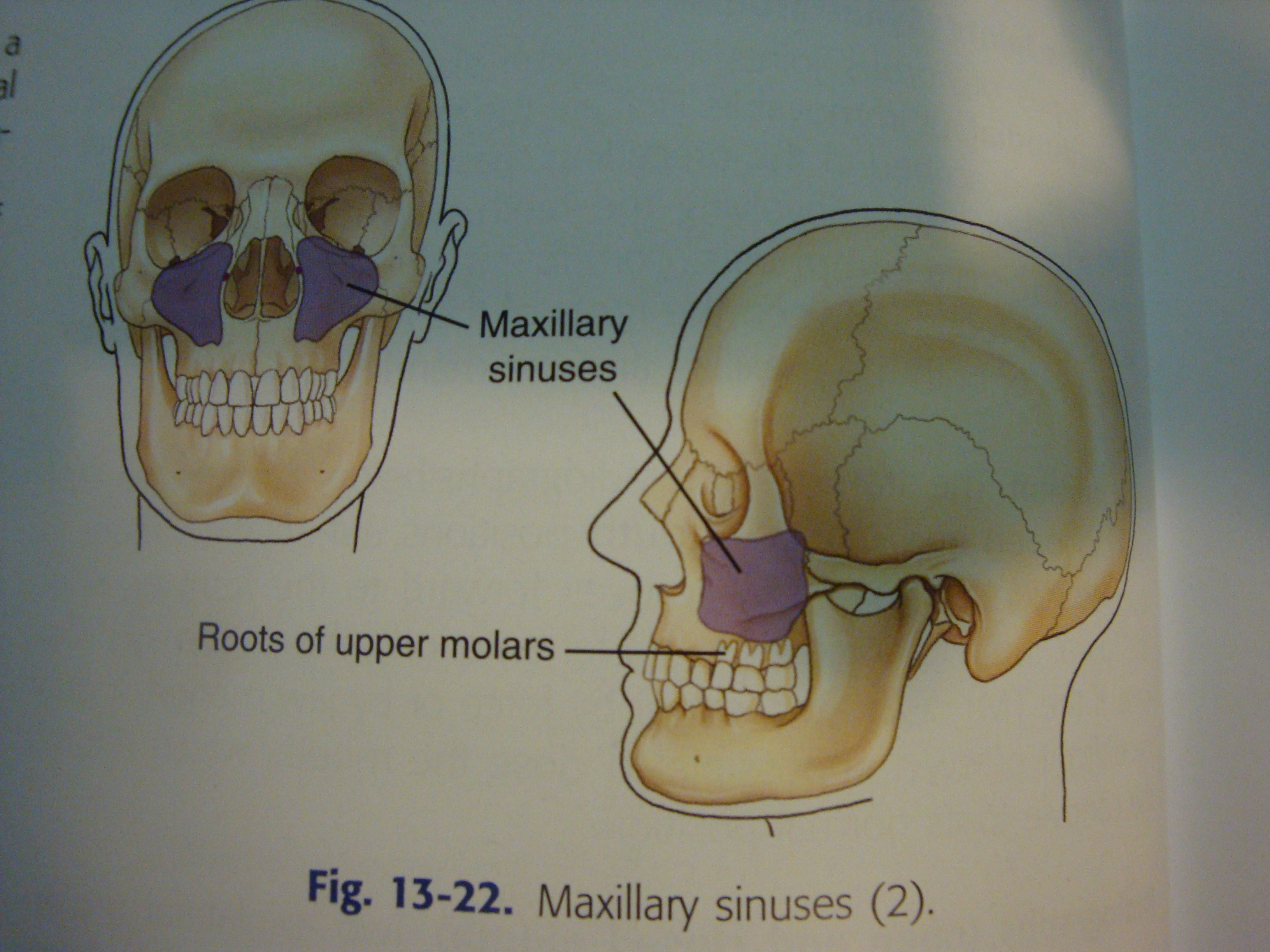 IHMC Public Cmaps (2)